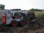 BOBCAT